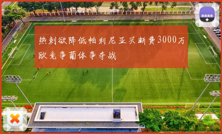 热刺欲降低帕利尼亚买断费3000万欧竞争葡体争夺战