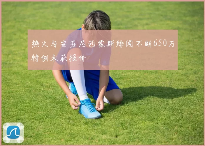 热火与安芬尼西蒙斯绯闻不断650万特例未获报价